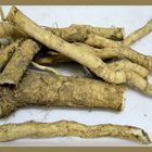 Horseradish