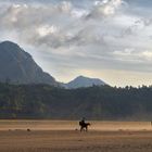 Horseriding at the sea of sand