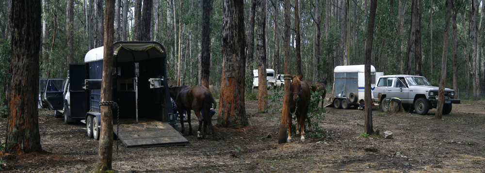 Horseriding at the Yarra Valley