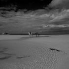 Horses at St.Ouens