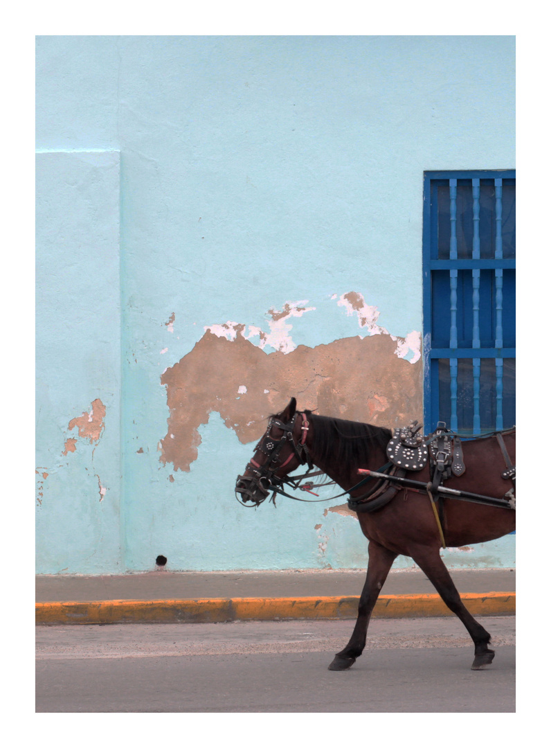 "Horses" - Havana, Cuba 