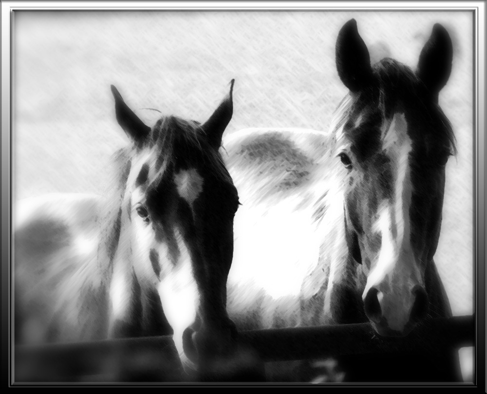 "Horses III"