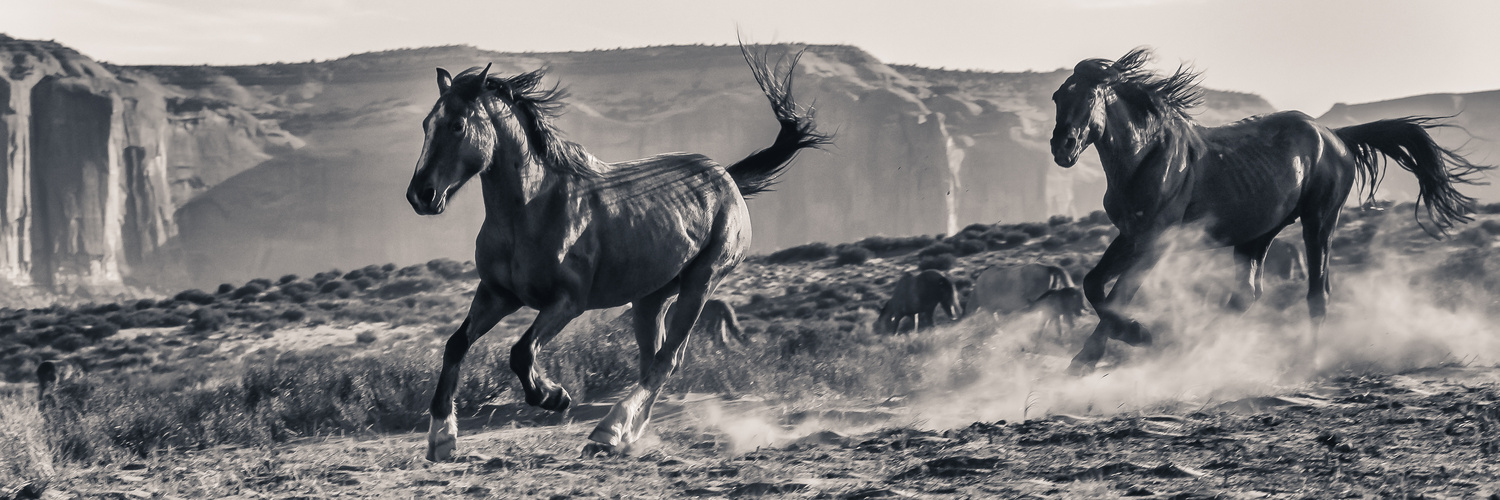 Horses in Monument Valley