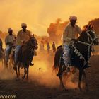 horses in parade 