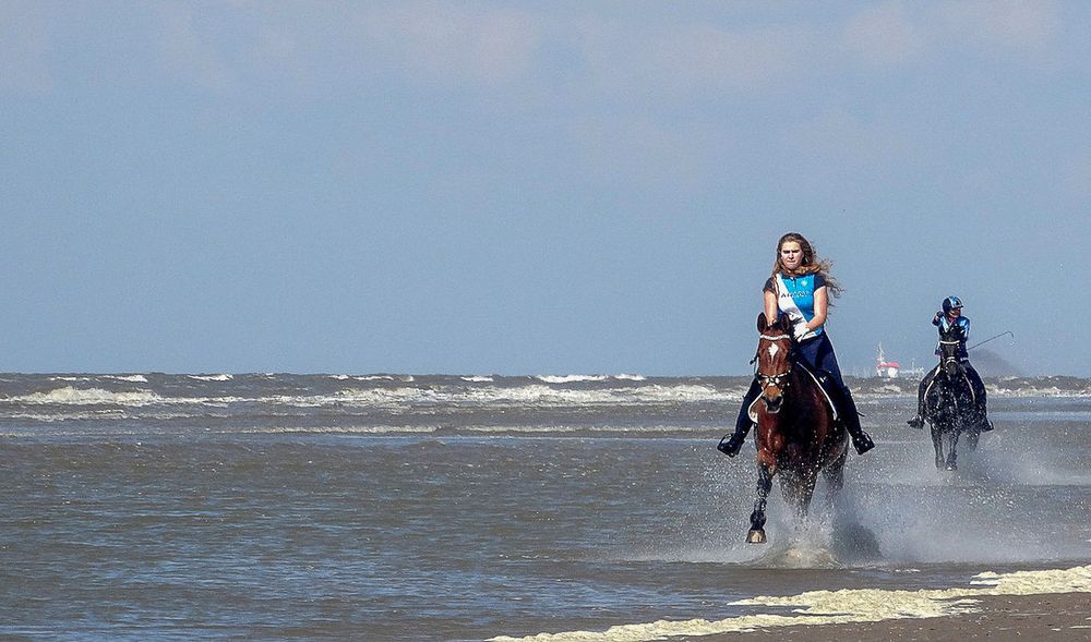 Horses on the beach