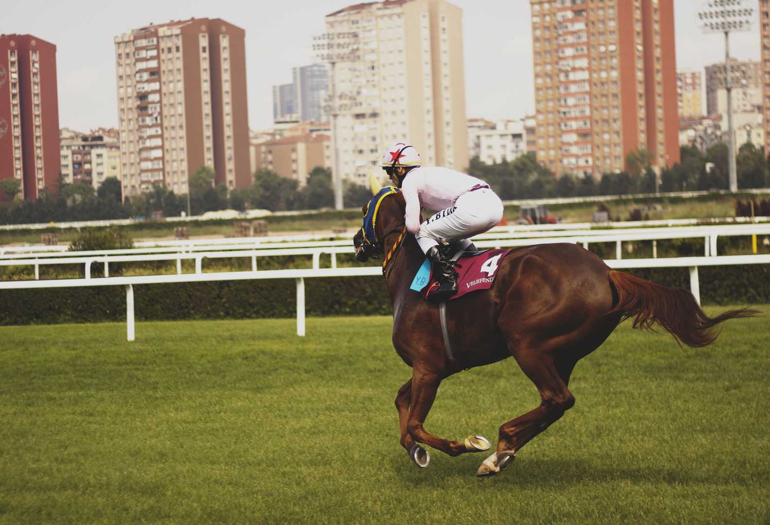 horses racing