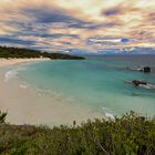 Horseshoe bay Bermuda