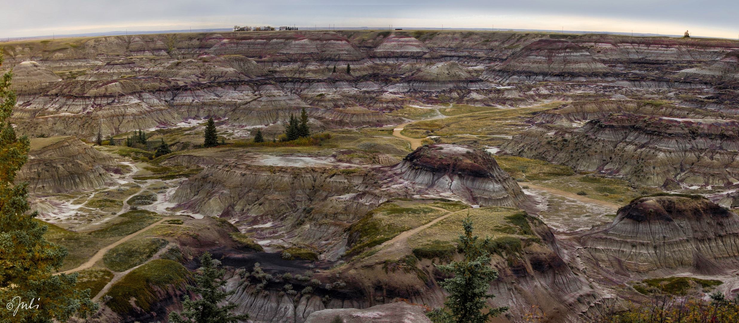 Horseshoe Canyon