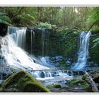 Horseshoe Falls