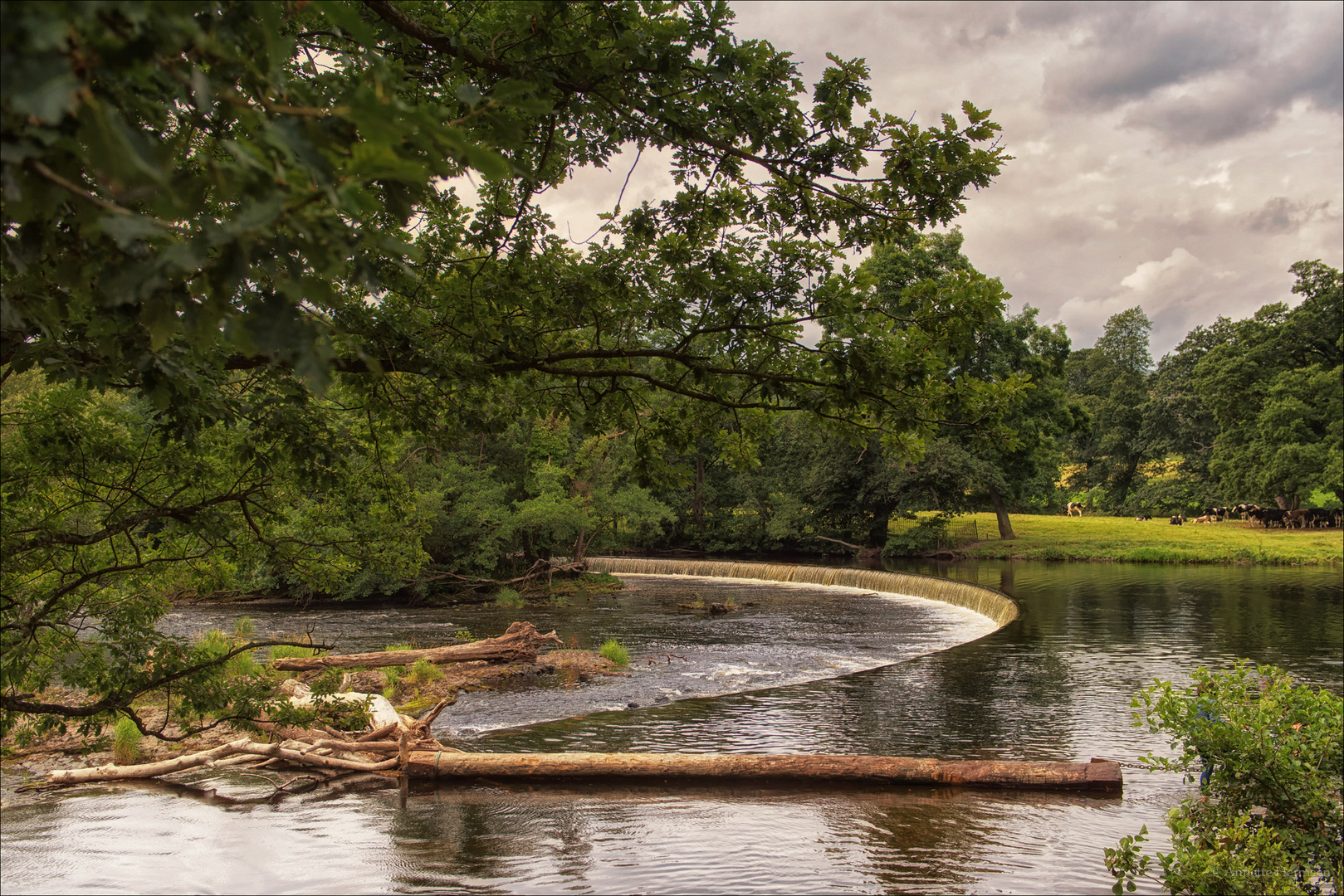 Horseshoe Falls