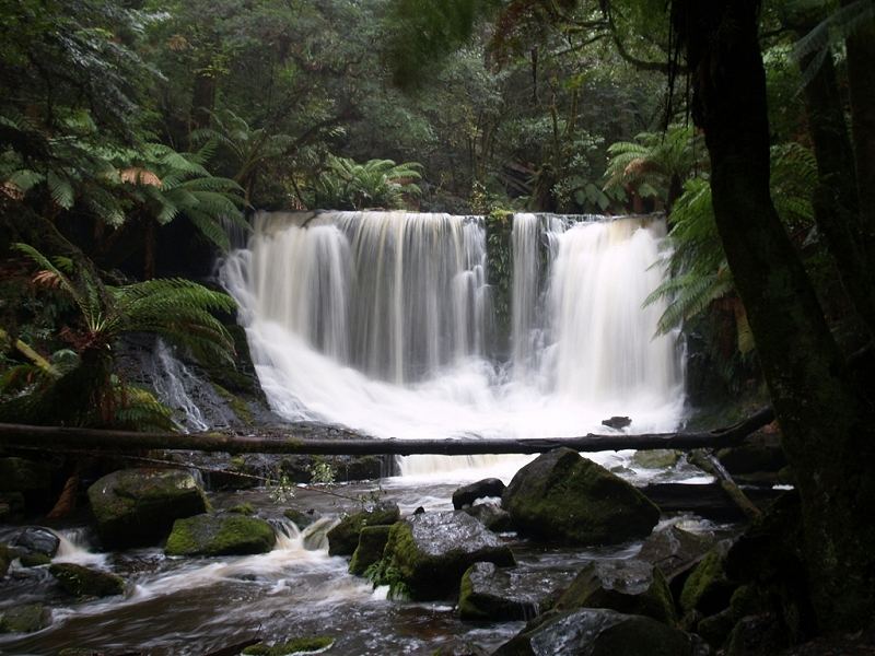 Horseshoe Falls - Tasmanien