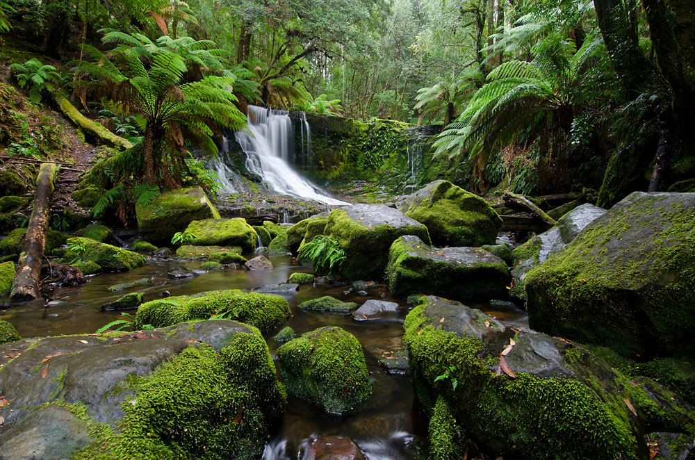 Horseshoe Falls - Tasmanien