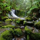 Horseshoe Falls - Tasmanien