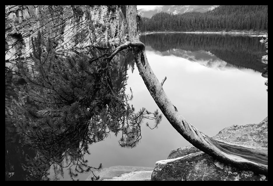 Horseshoe Lake II