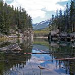 Horseshoe Lake - Jasper, Alberta