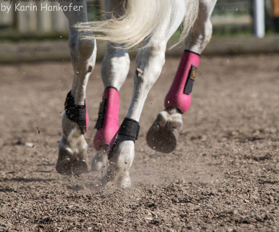 Horseshoes