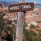 Horsetrail