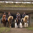 horsewomen