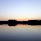 "Horstmarer See" - image 7