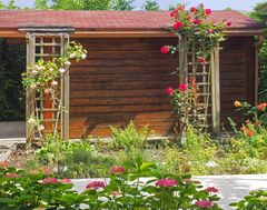 Hortensias et abri de jardin