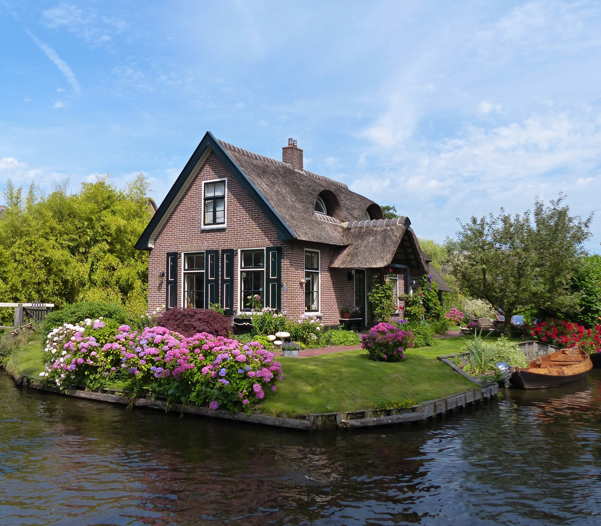 Hortensien in Giethoorn (2)