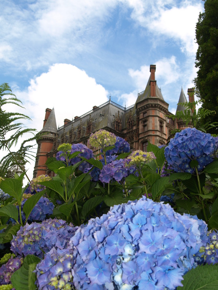 Hortensien-Schlossgarten