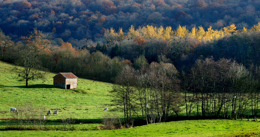 HORTES