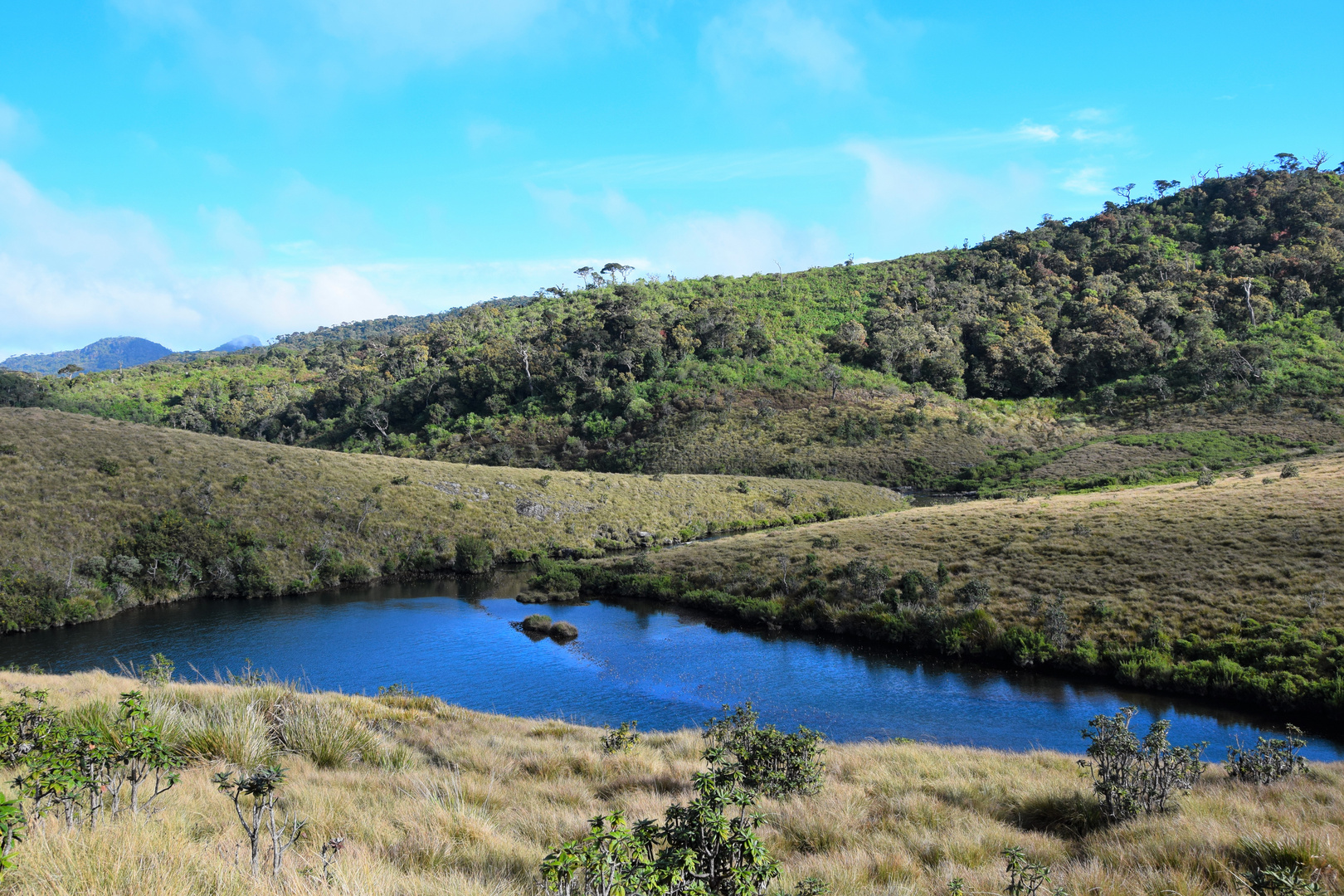 Horton Plains 1