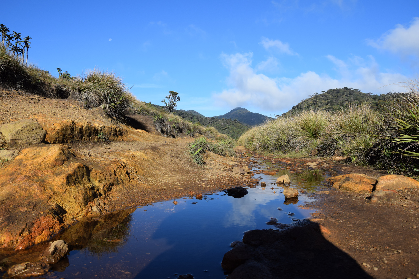 Horton Plains 2