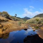 Horton Plains 2