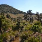 Horton Plains