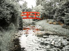 Hortulus Park in Paslek .Polen