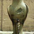 Horus