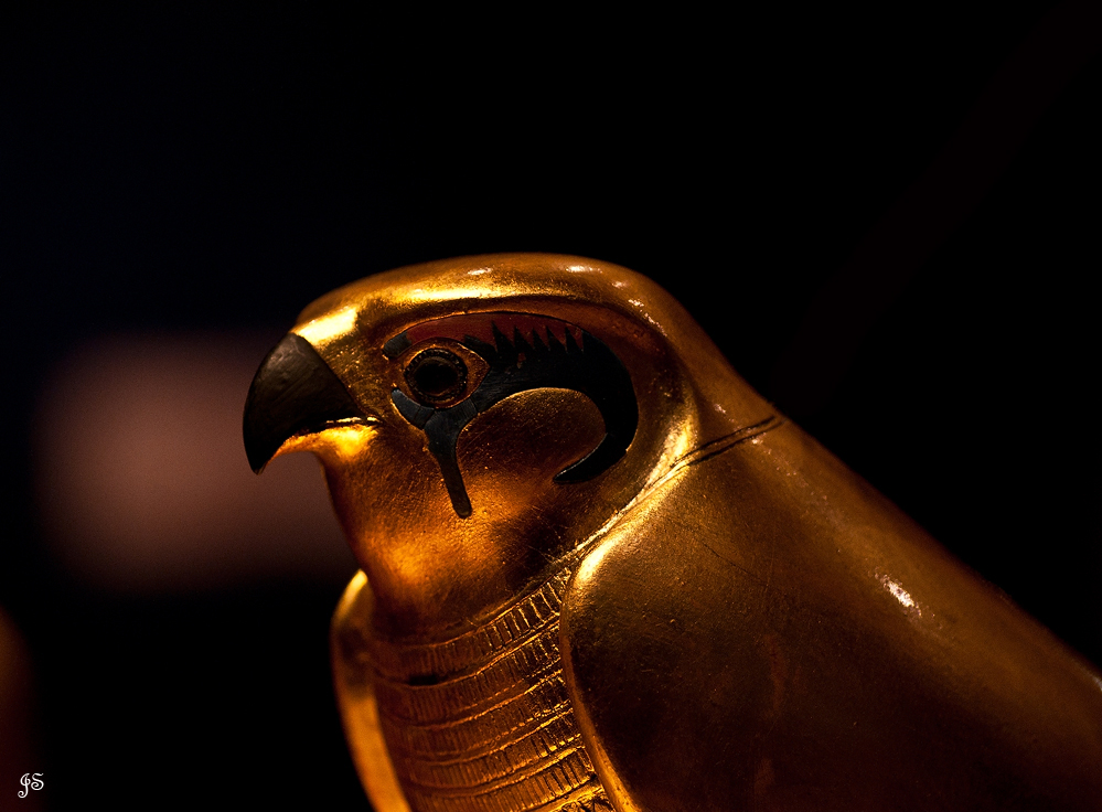 Horus