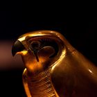 Horus