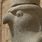 Horus in Edfu