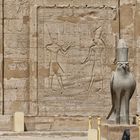 Horusfalke in Edfu