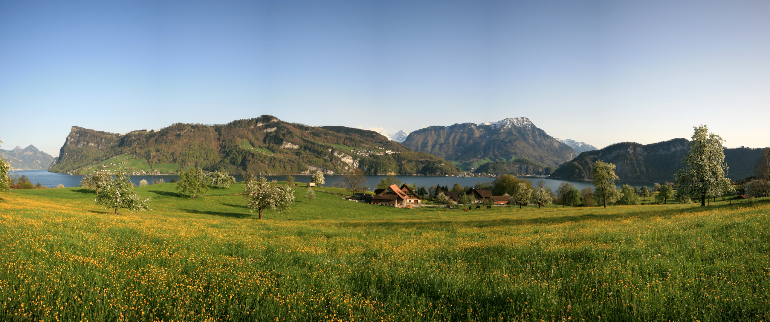 Horwer Halbinsel mit Blick nach Süden