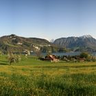 Horwer Halbinsel mit Blick nach Süden