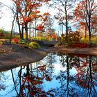 Hospice Reflections