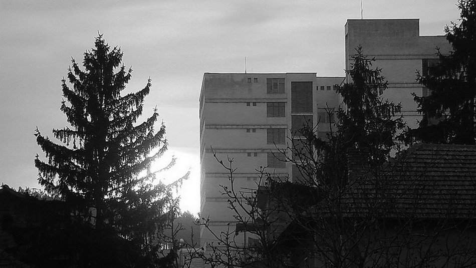 Hospital..Sun..Trees..