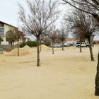 Hossegor, son sable ....