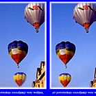 Hot Air Ballooning 3D