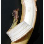 Hot banana