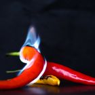 Hot Chili