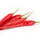 hot chilli