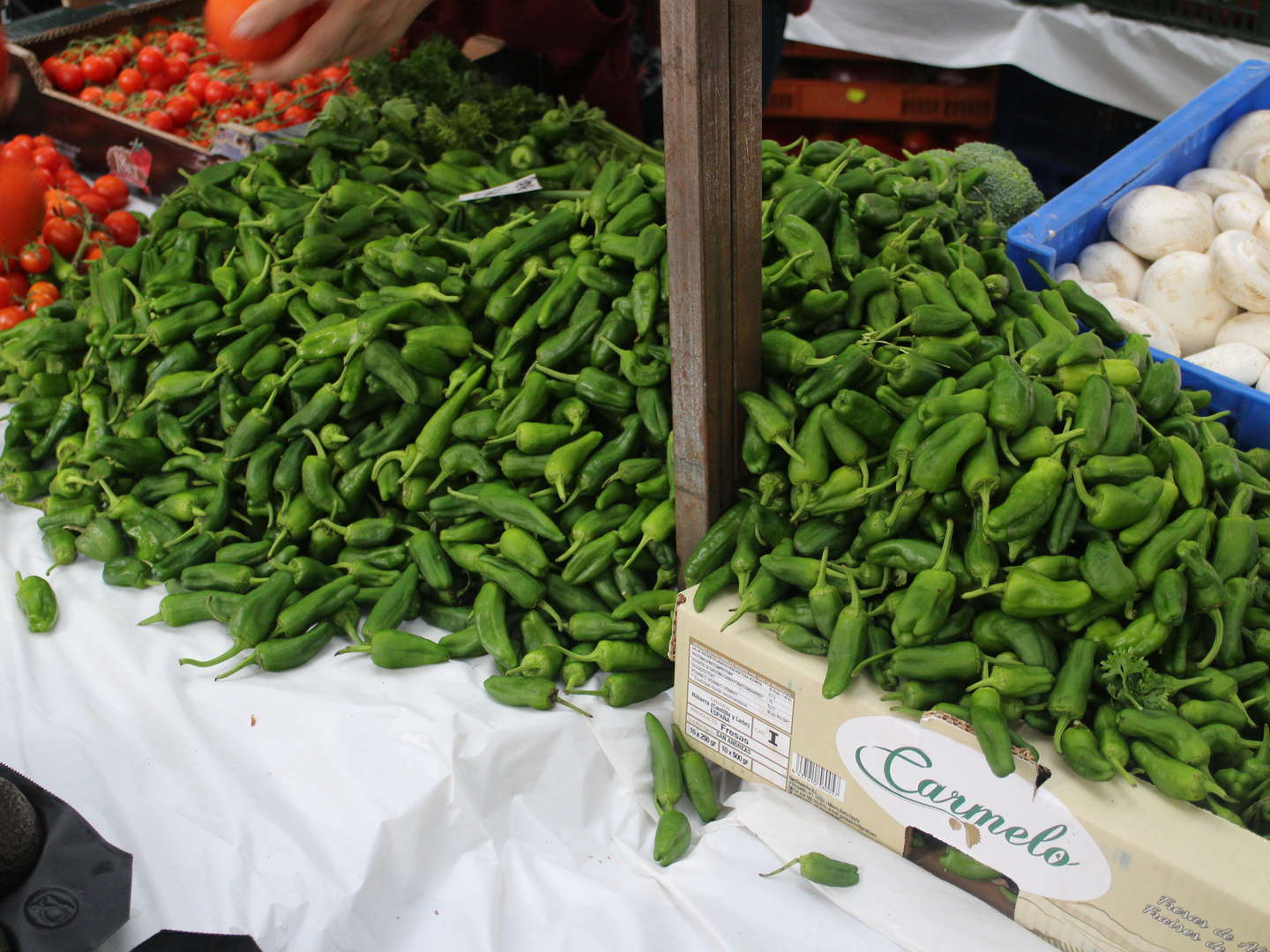 Hot Chillis am Markt