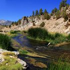 Hot Creek im Long Valley