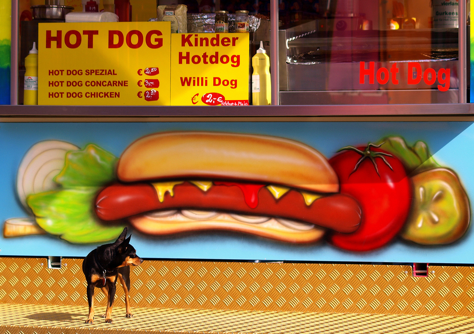 - Hot Dog -