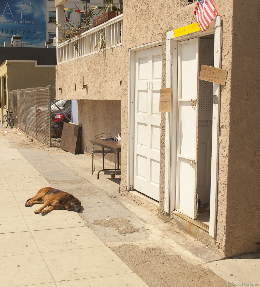 Hot Dog bei Venice Beach